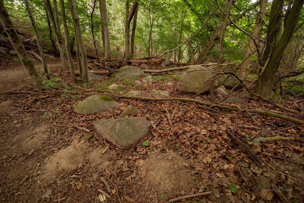 Лесные камни... - Николай Гирш