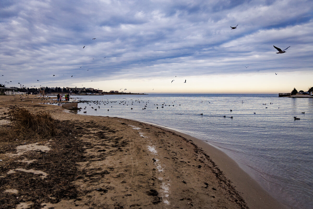 Зима - Светлана Тихонина Зима - Светлана Тихонина