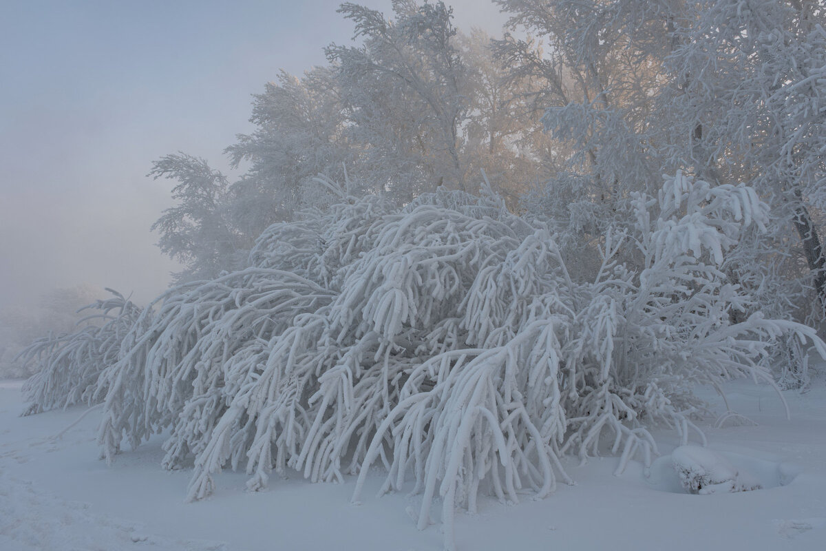 Зимним вечером - Сергей Герасимов Зимним вечером - Сергей Герасимов
