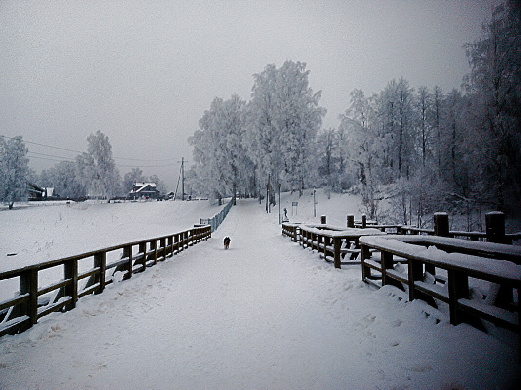 Зимний день - Сергей Кочнев