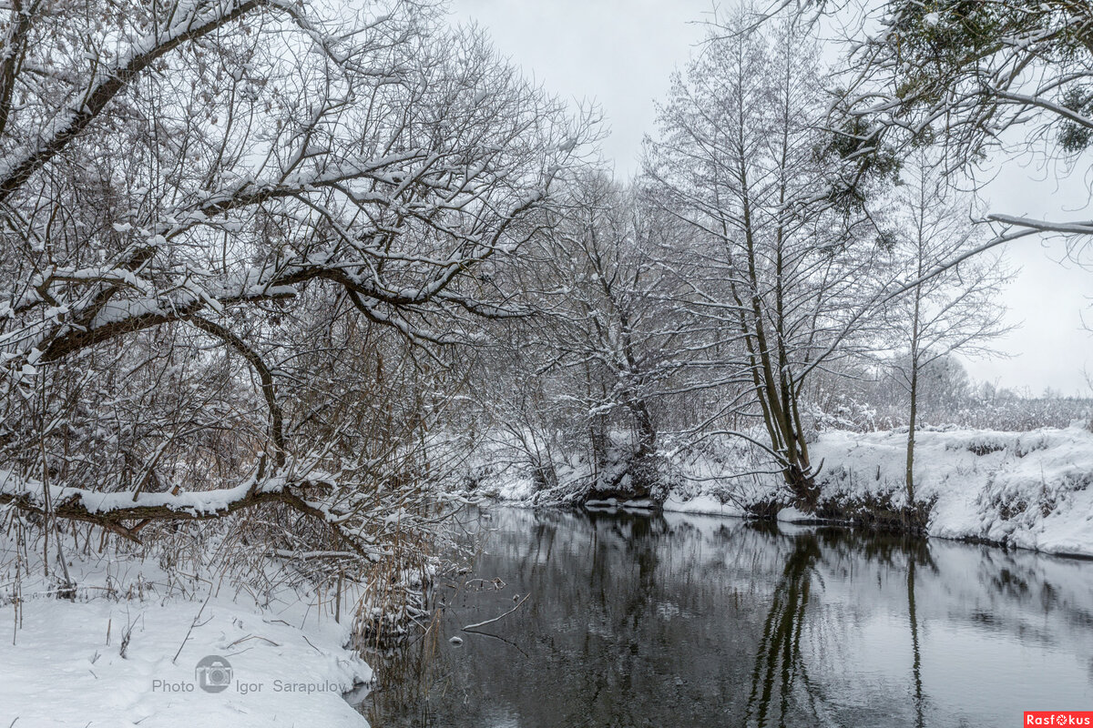 Река Нежеголь зимой - Игорь Сарапулов Река Нежеголь зимой - Игорь Сарапулов