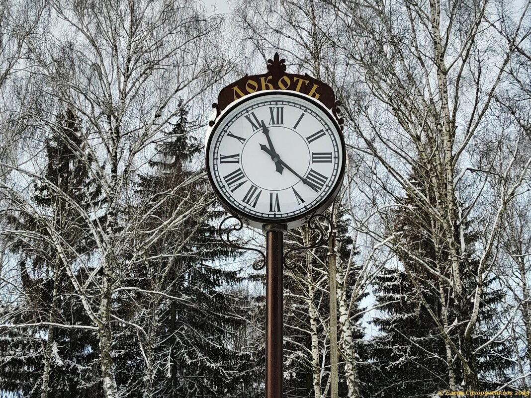 Часы среди природы - Елена Сухорученкова