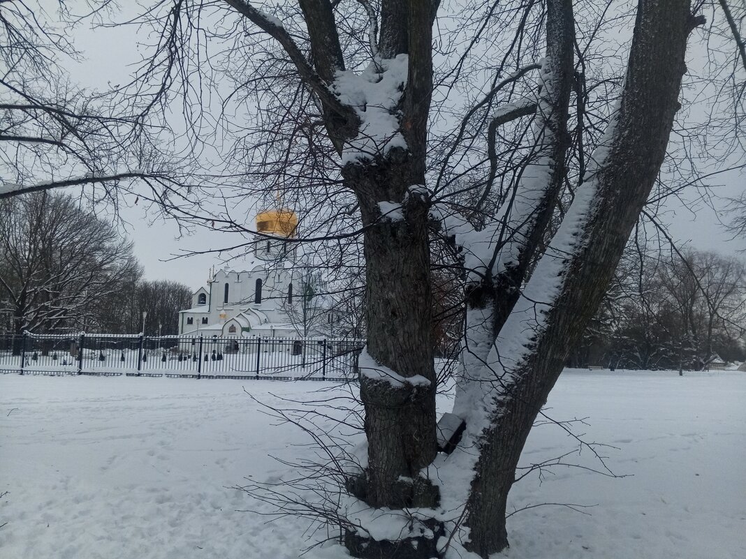 Зима - Сапсан 