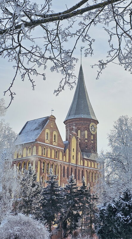 Калининград. Кафедральный собор. - Михаил Свиденцов Калининград. Кафедральный собор. - Михаил Свиденцов