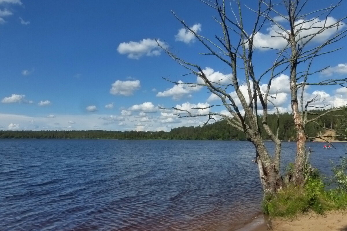 Озеро Красавица - Елена Суханова