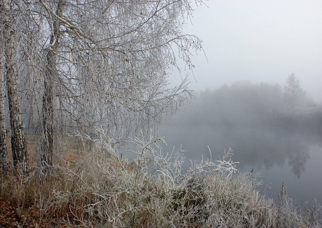 Туман над рекой - Галина Нестратова Туман над рекой - Галина Нестратова