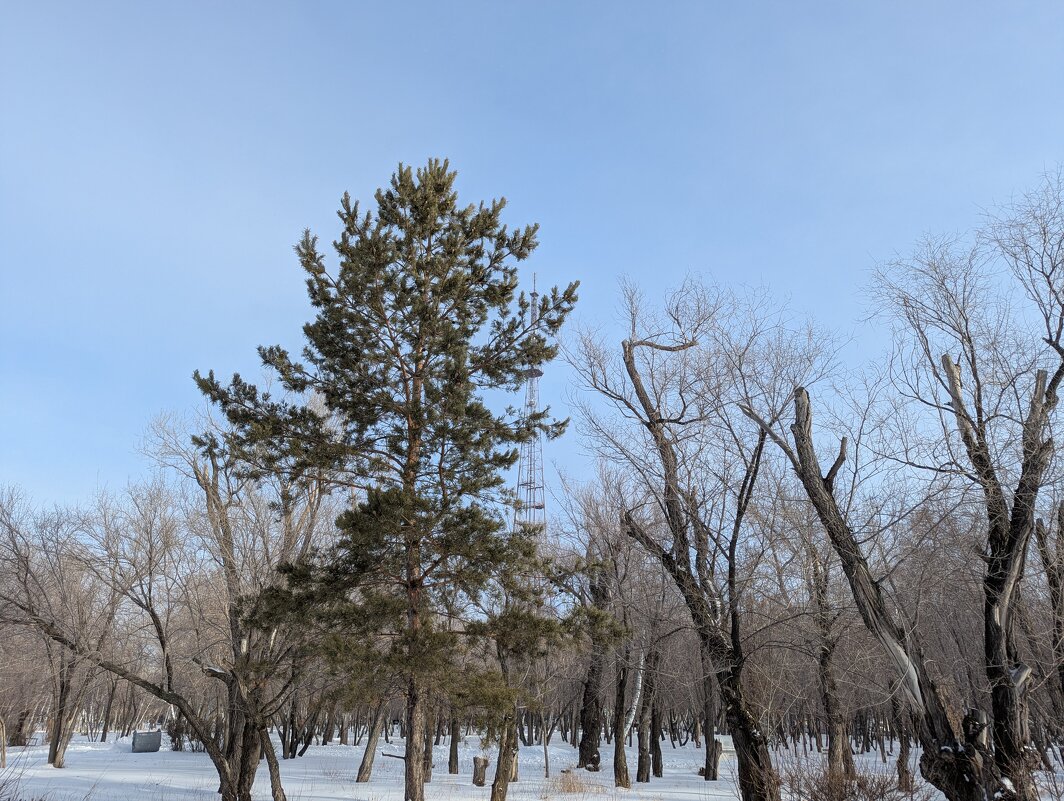 Январь - Андрей Хлопонин Январь - Андрей Хлопонин