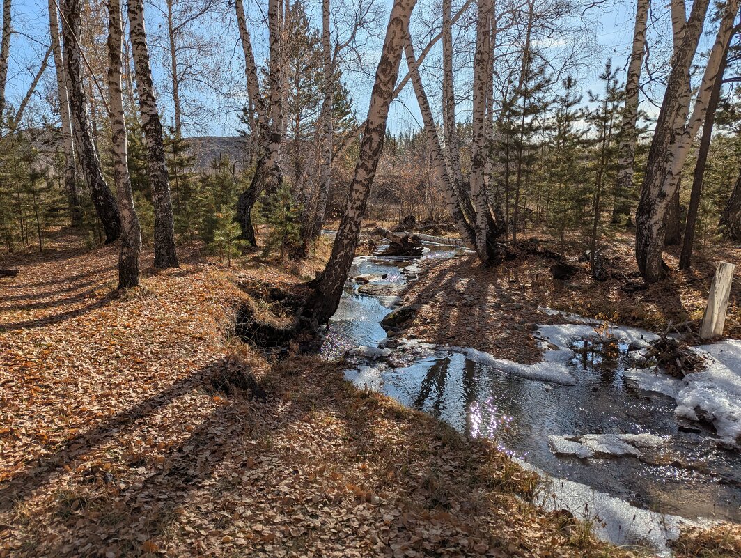 Осень в Каркаралах - Андрей Хлопонин Осень в Каркаралах - Андрей Хлопонин