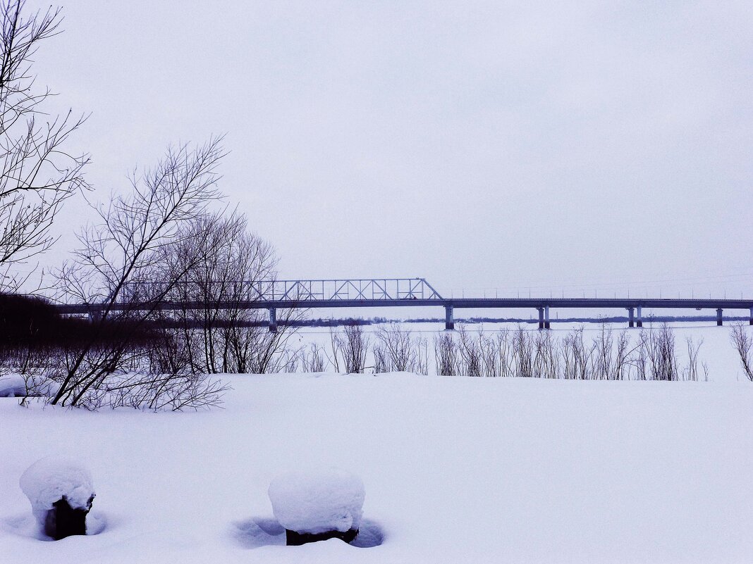 Вид на автодорожный мост с левого берега Юганской Оби. - Владимир Вид на автодорожный мост с левого берега Юганской Оби. - Владимир