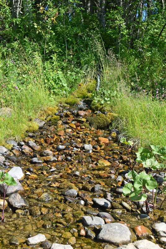 Ручей. - ВикТор Быстров Ручей. - ВикТор Быстров