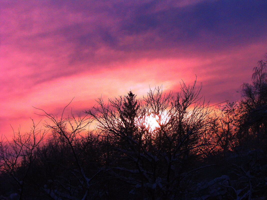 Яркое утро - Людмила Смородинская Яркое утро - Людмила Смородинская