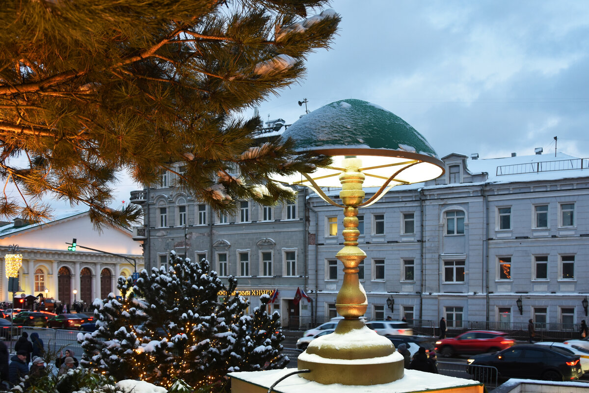 Новогодняя Москва. Путешествие в Рождество 2026. - Наташа ***** Новогодняя Москва. Путешествие в Рождество 2026. - Наташа *****