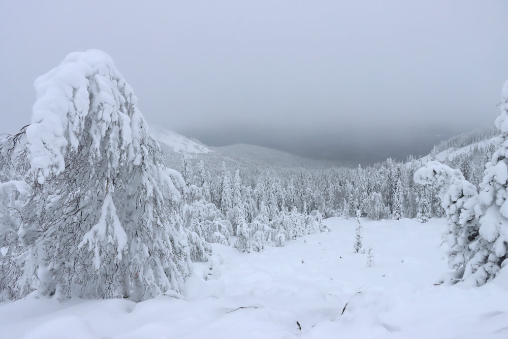 Пасмурный день - Галина Ильясова Пасмурный день - Галина Ильясова