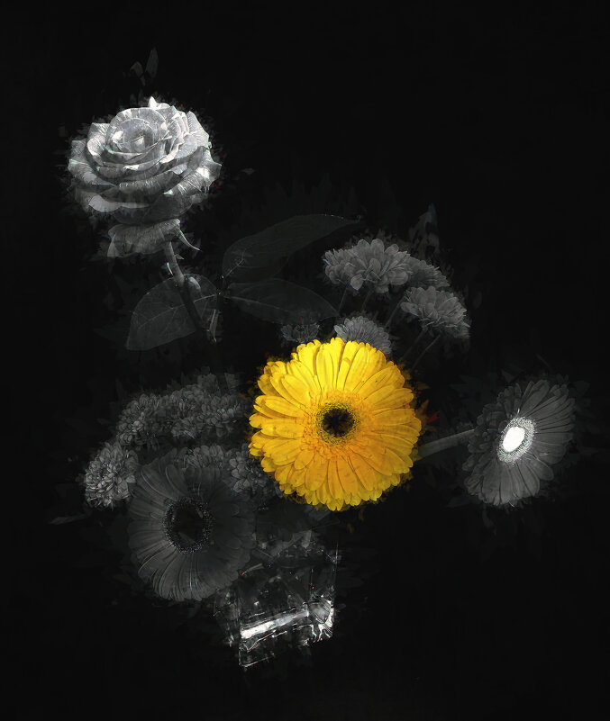 Жёлтая ромашка. - Владимир Владимир Жёлтая ромашка. - Владимир Владимир