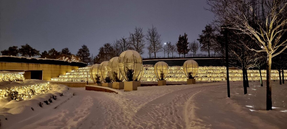 Выбор - Екатерина Леш