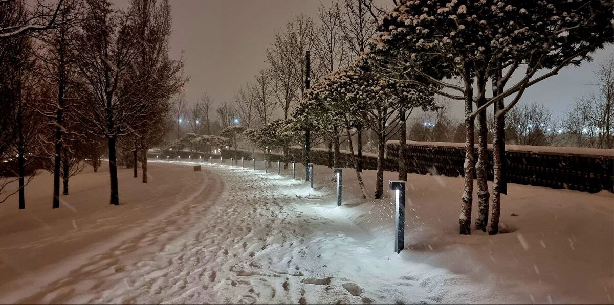 Чистый лист - Екатерина Леш