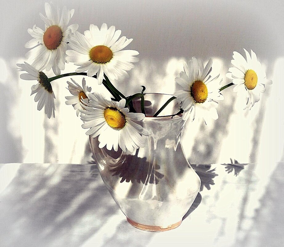 ... - TAMARA КАДАНОВА ... - TAMARA КАДАНОВА