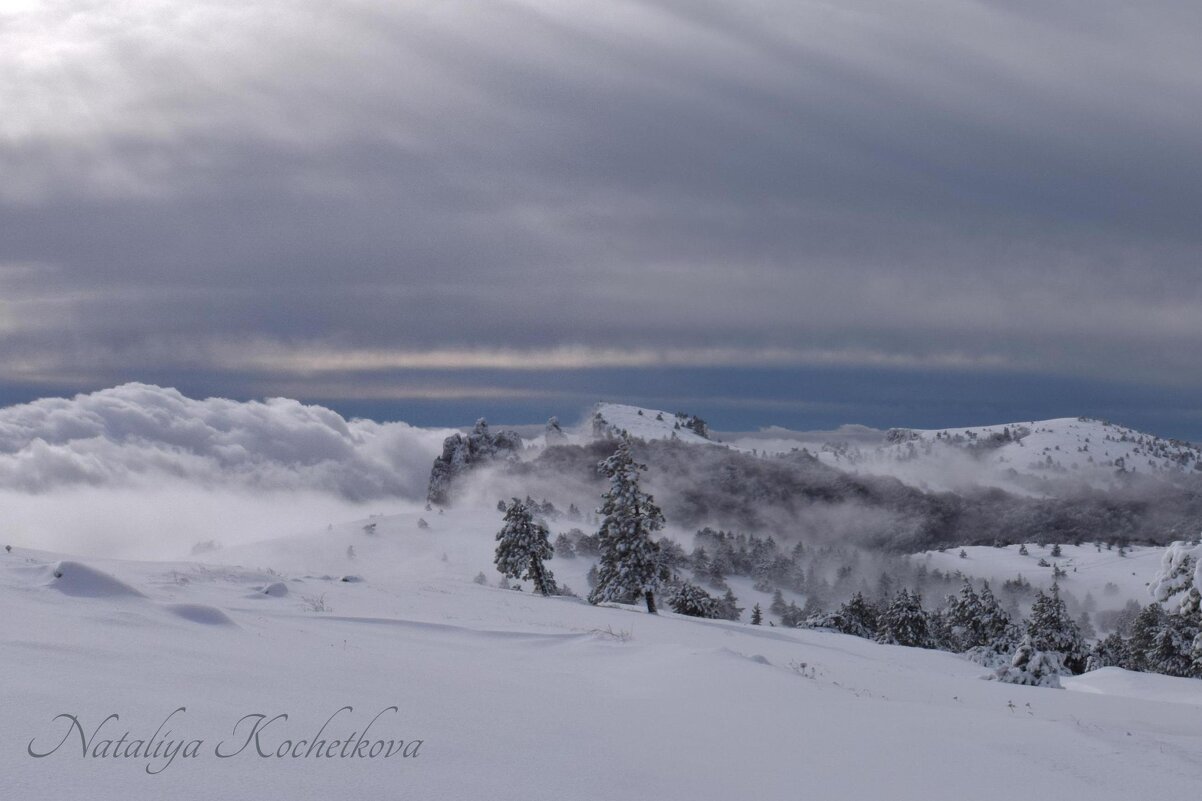 Природа Крыма - Amazing Cosmea Природа Крыма - Amazing Cosmea