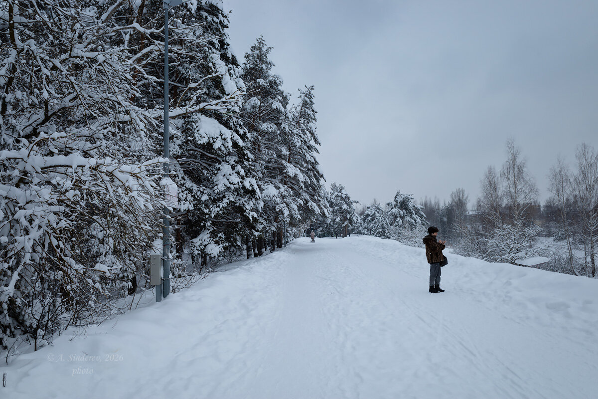 Прогулка по зимнему парку - Александр Синдерёв