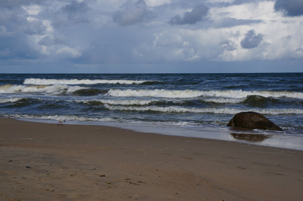 ~ ~ ~ - Алёна Савина