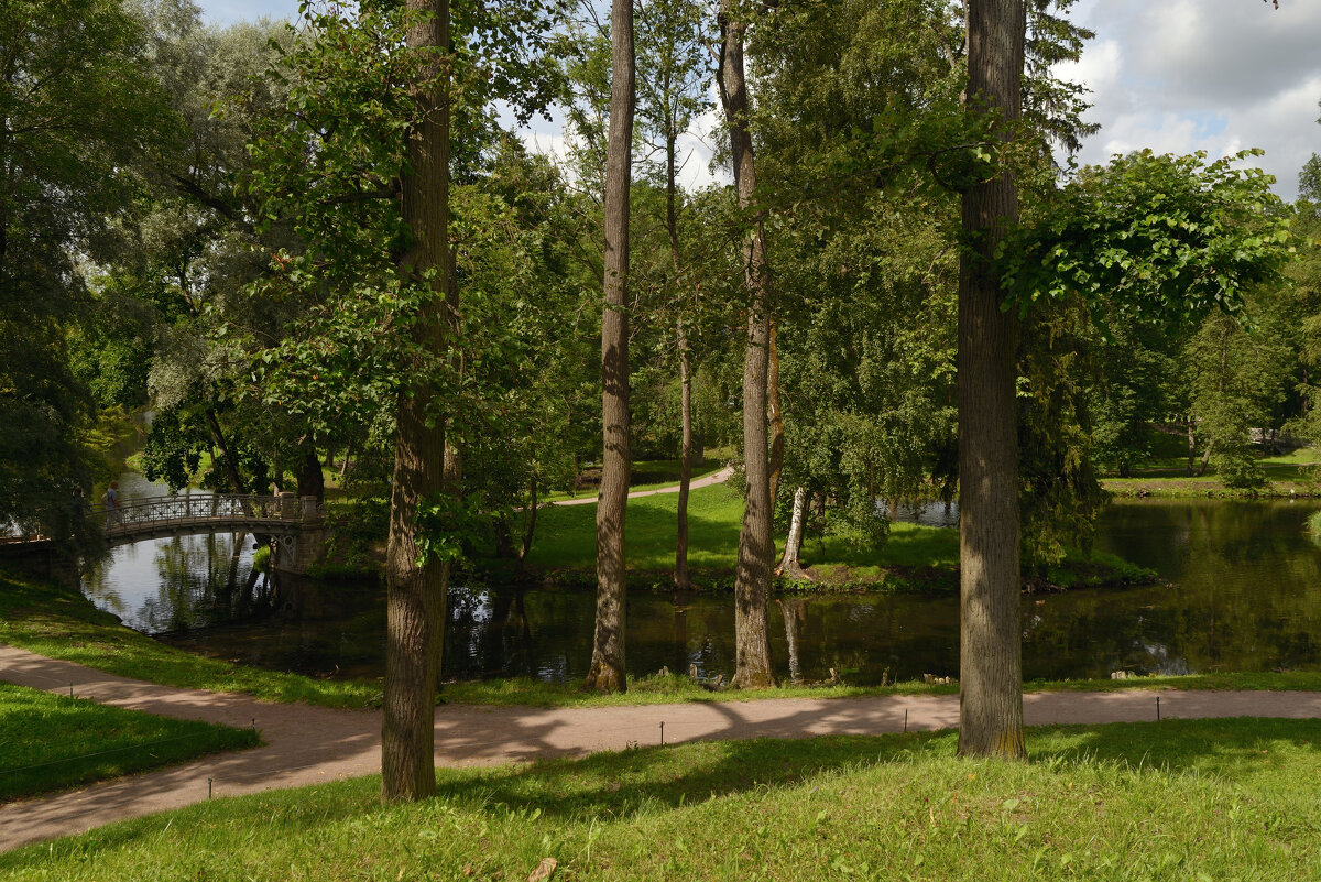 Павловск. Парк - Константин 