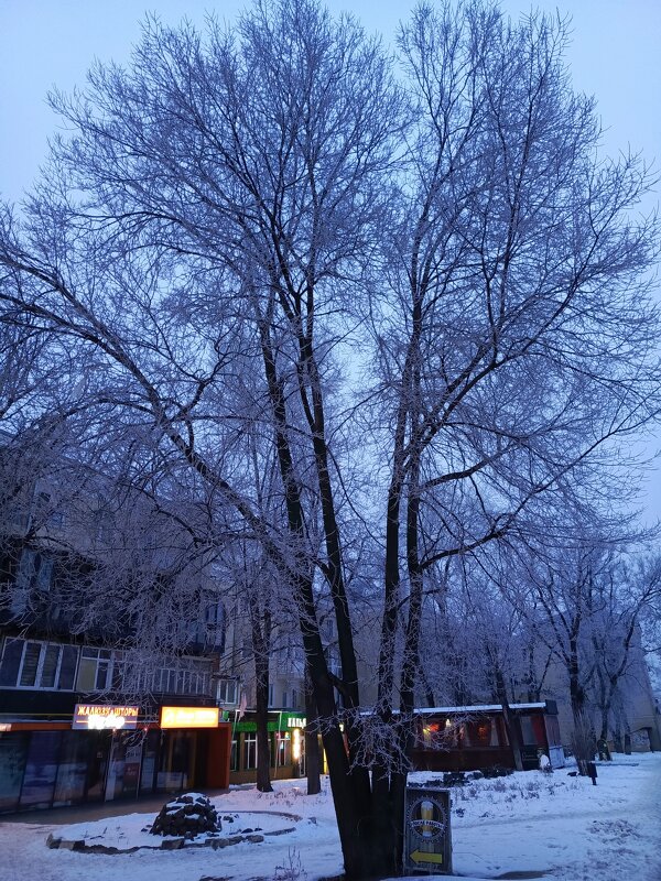 Раннее январское утро - Татьяна Пальчикова Раннее январское утро - Татьяна Пальчикова