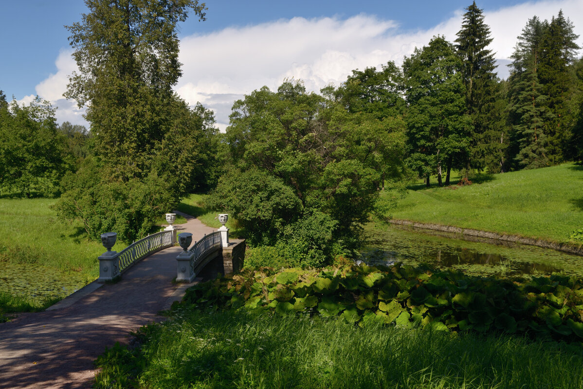 Мостик в Гатчинском парке. - Константин 