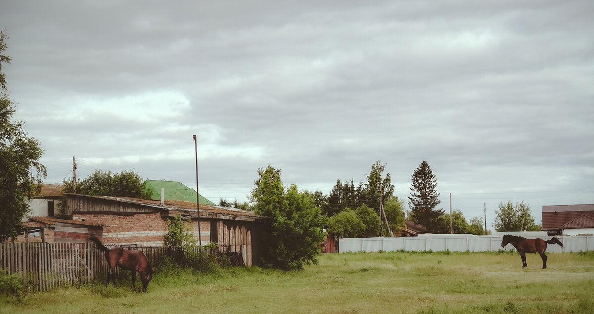 На подворье - Сергей Царёв