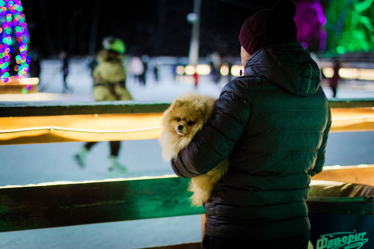 зрители на катке - Артём Евтюхов зрители на катке - Артём Евтюхов