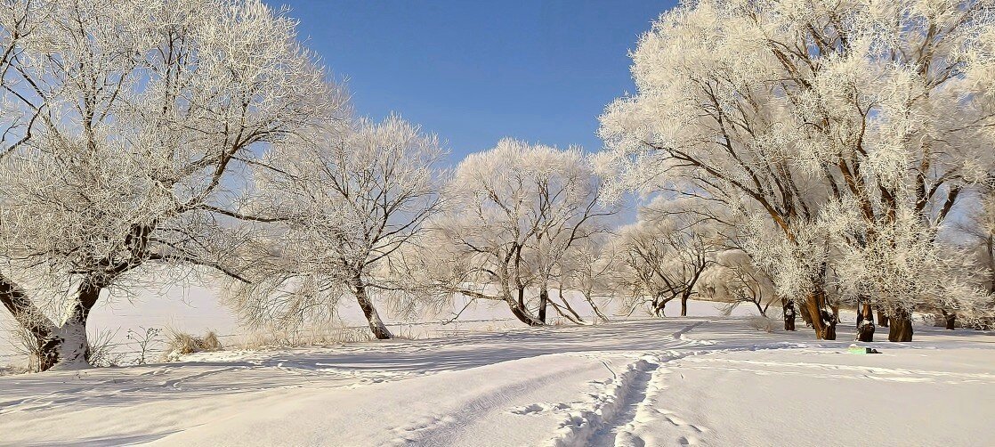 Дорога к озеру - Игорь Сычёв
