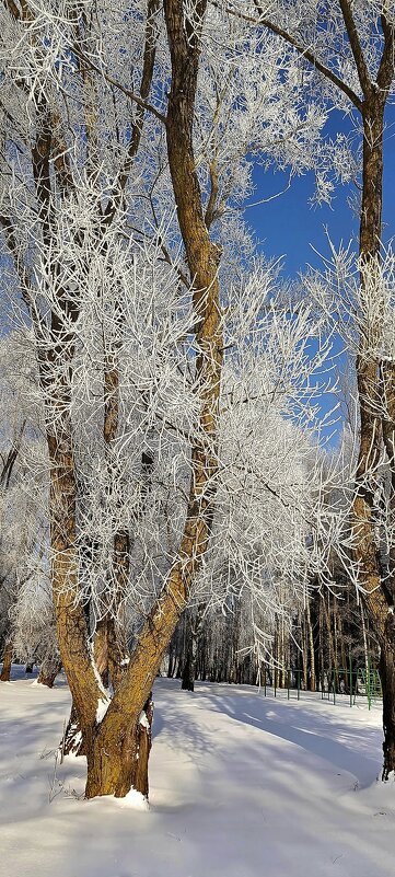 Зимнее очарование - Игорь Сычёв