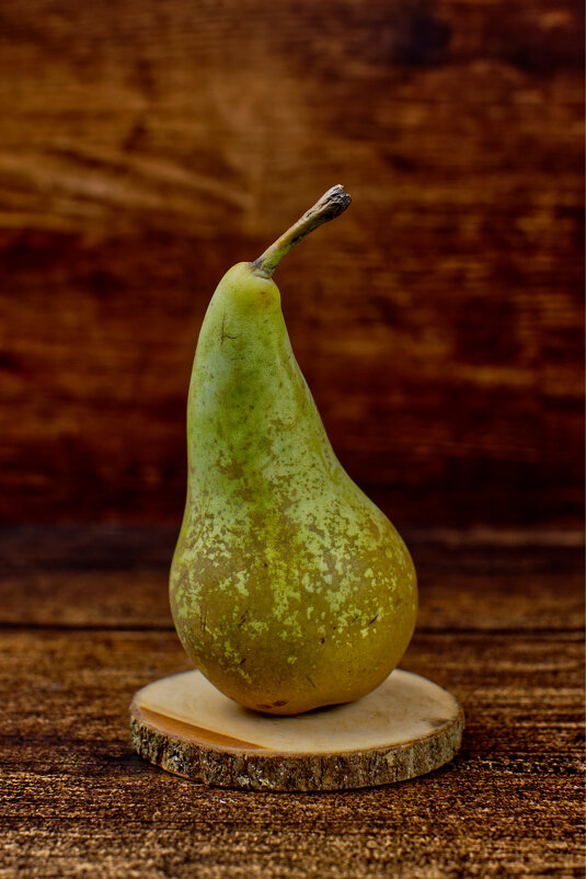 (°-°) - Jakob Dick