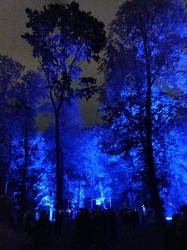 В темно-синем лесу... - Veera V В темно-синем лесу... - Veera V