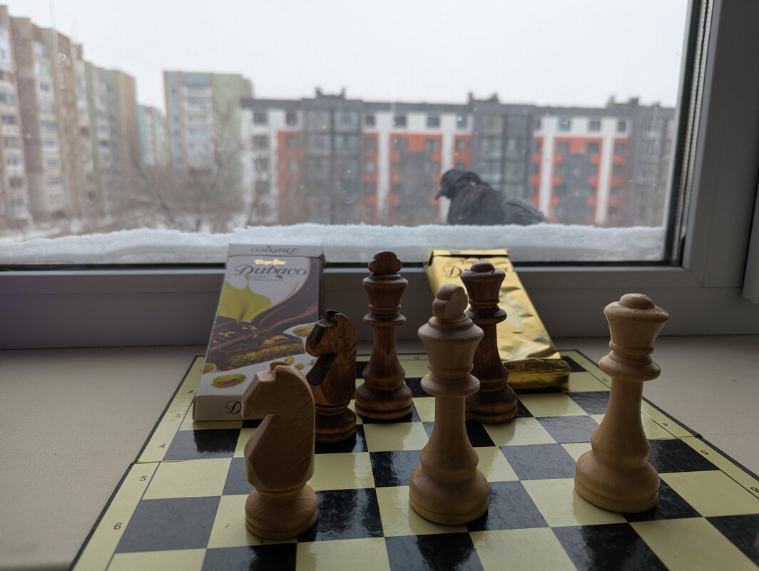 Шахматы - Андрей Хлопонин Шахматы - Андрей Хлопонин