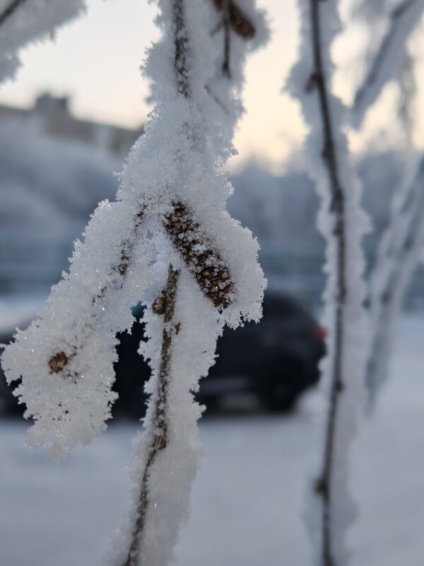 Зима 2026 - Андрей C