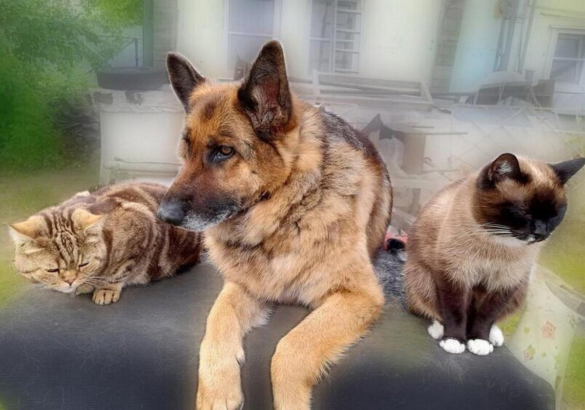 Друзья - Наталья ***