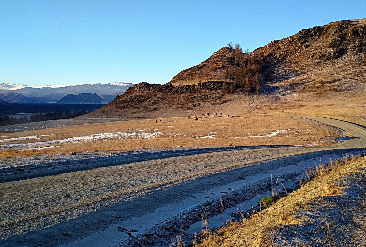 Зимними дорогами по Алтаю - Татьяна Лютаева Зимними дорогами по Алтаю - Татьяна Лютаева