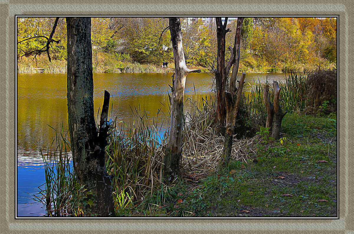 Золотая осень - Владимир Кроливец