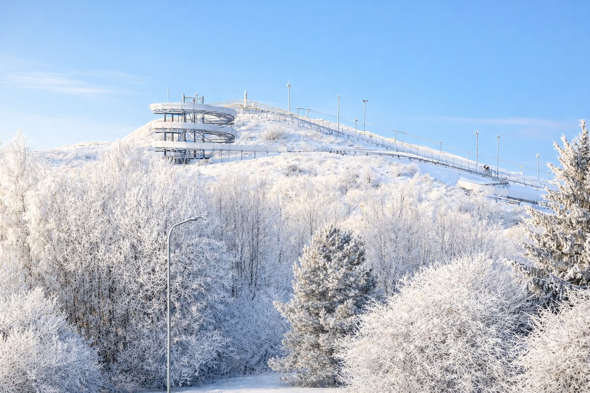 Зима - Aлёна V