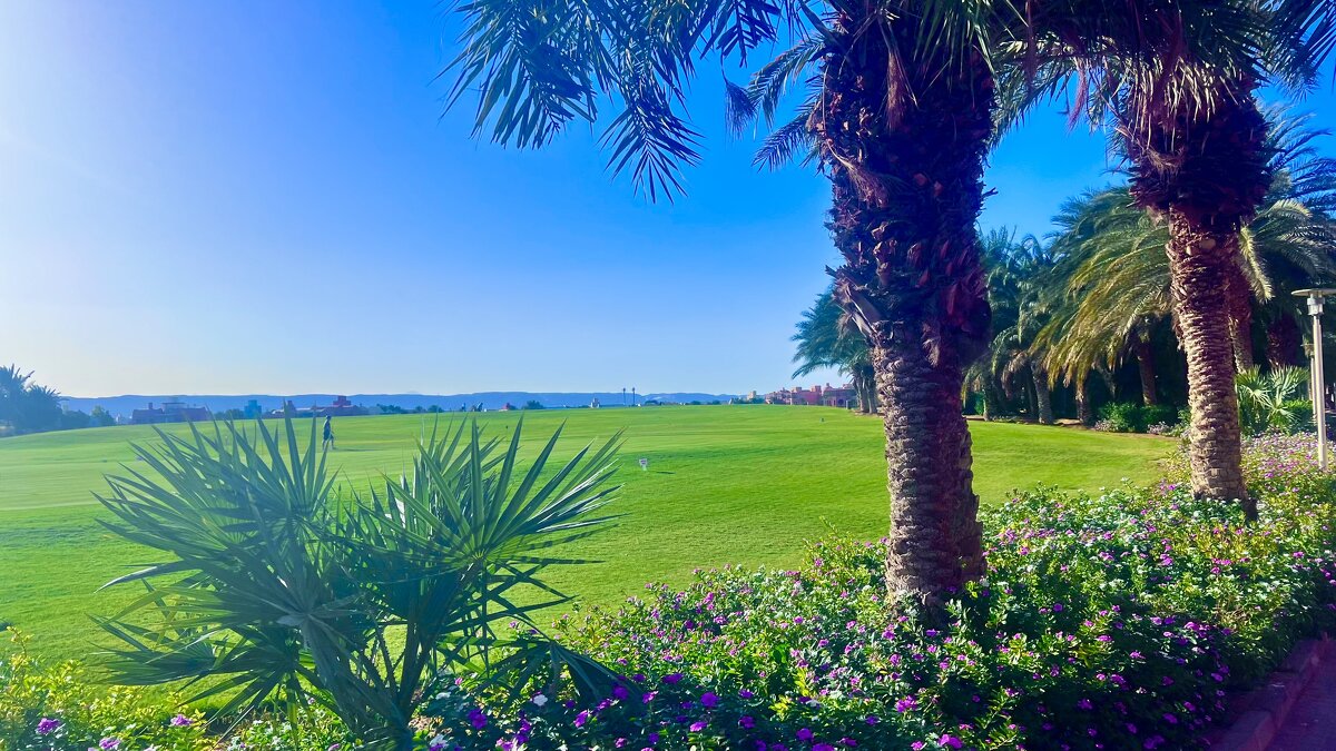 الجونة - Aлёна V الجونة - Aлёна V