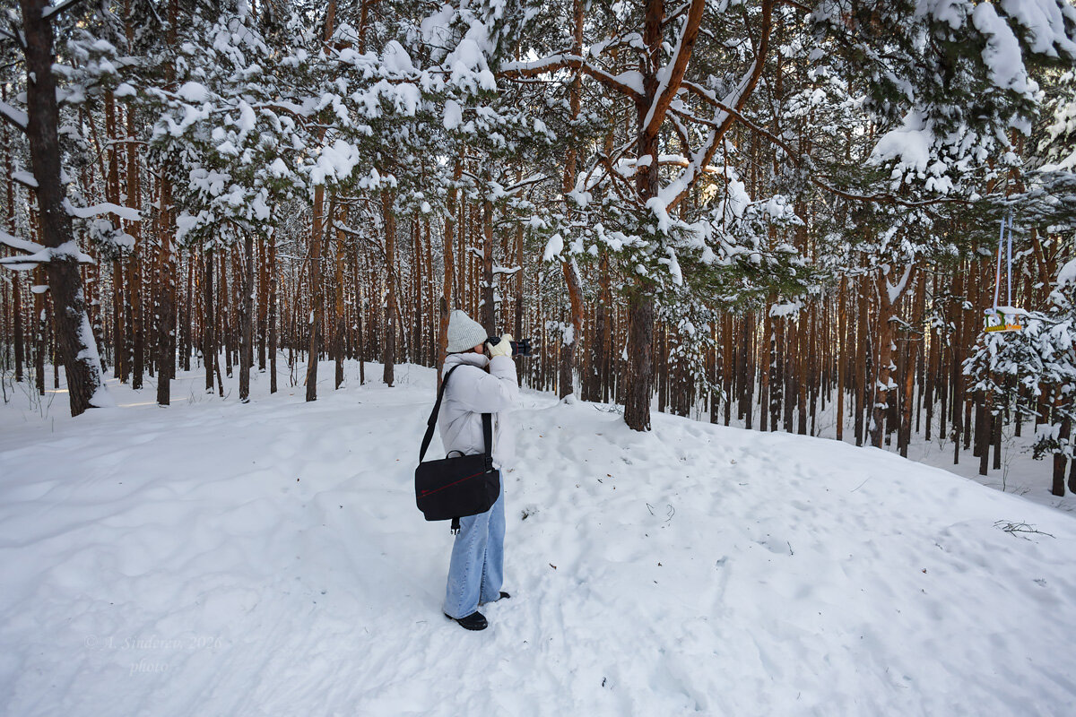 Фотограф снимает на природе - Александр Синдерёв