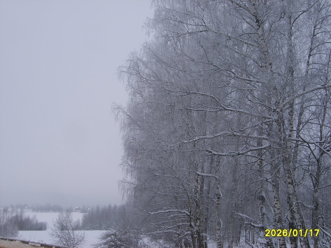 без названия - fogmeadowww m