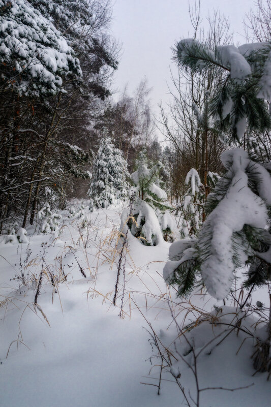 Тропа - sorovey Sol