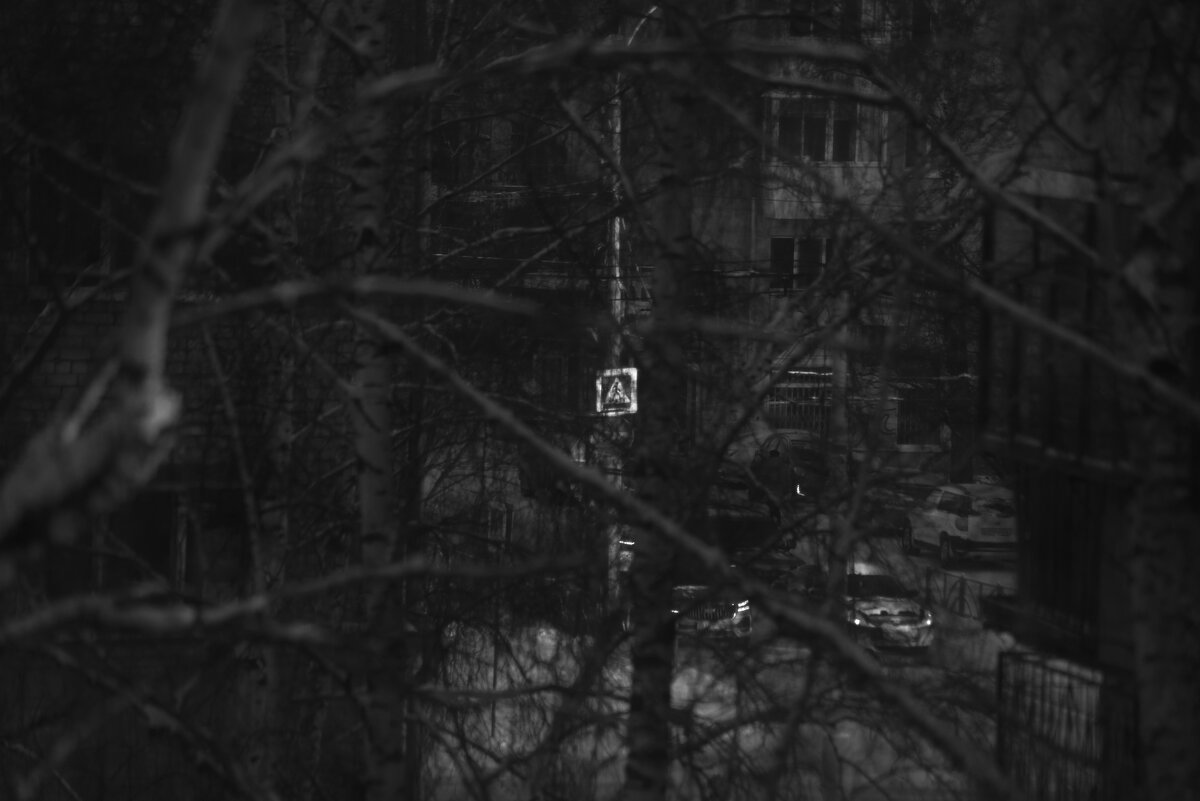 Ориентир в хаосе - Сергей Сергеев