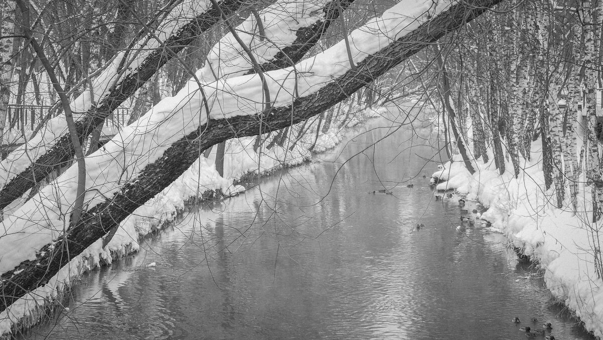 У Тихой Воды - юрий поляков