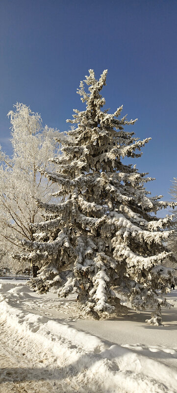 Зимняя идиллия - Игорь Сычёв
