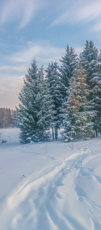 У леса на опушке ëлочки-подружки... - Леонид Абросимов