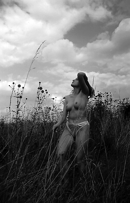 На косогоре среди трав - Valziwa 