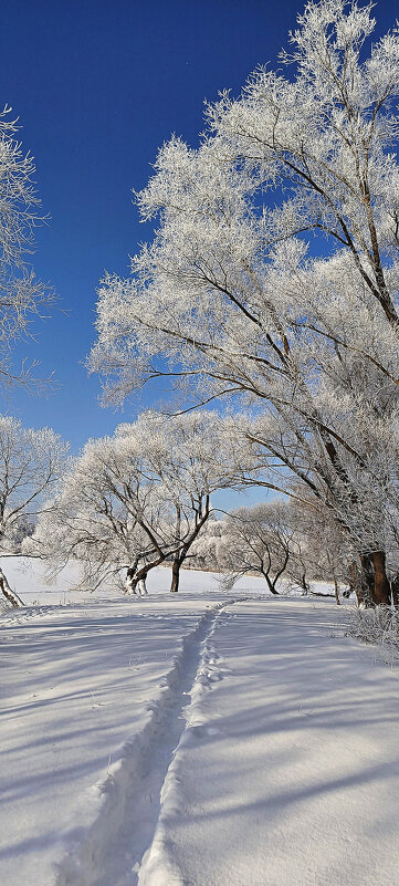 Снежное настроение - Игорь Сычёв