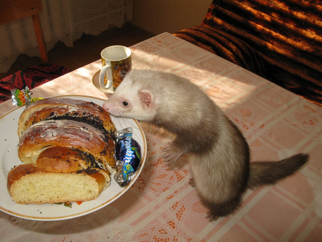 Что вкусненького дают? - Римма Волченко